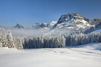 Sattelegg, Gross Aubrig, Chopfenberg, Canton Schwyz, Switzerland [AWL110002189]