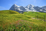 Eiger and Monch seen from Kleine Scheidegg, Bernese Alps, Berner Oberland, Grindelwald, canton Berne, Switzerland [AWL110002218]