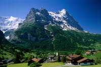 Town & Mountains, Grindelwald, Alps, Switzerland [AWL110002226]