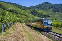Wachau Railway train between vineyards near Weissenkirchen in der Wachau, Lower Austria, Austria [AWL110002230]
