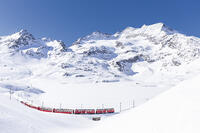 Bernina Express transit along Lago Bianco in winter , Bernina Pass, Engadin, Canton of Graubunden, Switzerland [AWL110002236]
