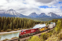 Morant's curve with cargo train passing, Banff National Park, Alberta, Canada [AWL120000045]