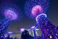 Supertree Grove, Gardens by the Bay, Singapore [AWL110002492]