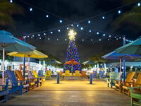 Lauderdale by the Sea with christmas Decorations and Christmas Tree, Christmas by the Beach Lauderdale by the Sea, Fort Lauderdale, Florida, USA [AWL110002544]