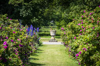 Kendal, Cumbria, England.  Rose borders frame a path leading to an urn in the gardens at  Levens Hall [AWL110002554]