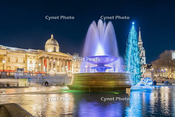 Trafalgar Square illuminated at night at Christmas, London, England, UK [AWL110000891]