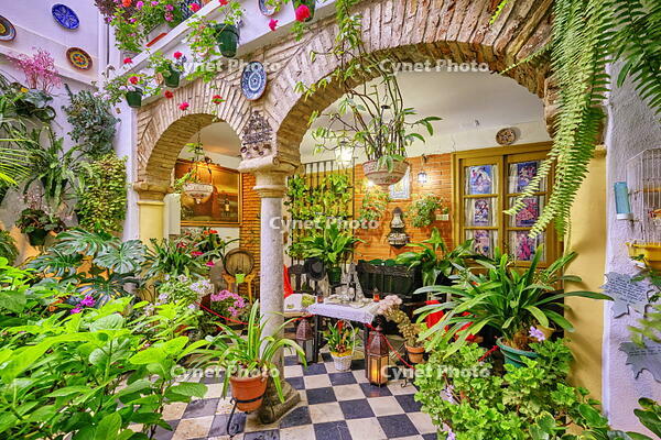 A traditional Patio of Cordoba, a courtyard full of flowers and freshness. A UNESCO Intangible Cultural Heritage of Humanity. Andalucia, Spain [AWL110001365]
