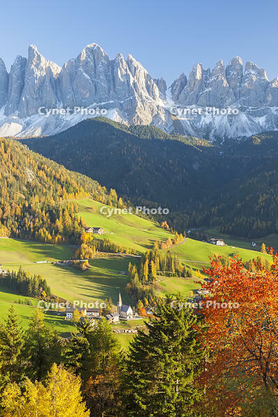Autumn, St. Magdalena village, Geisler Spitzen (3060m), Val di Funes, Dolomites mountains, Trentino-Alto Adige, South Tirol, Italy [AWL110001496]