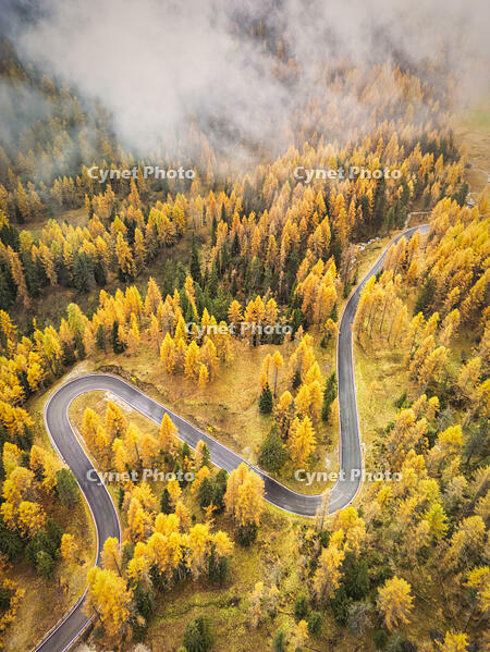 Aerial View of Road in Autumn, Passo Giau, near Cortina d' Ampezzo, Dolomites,  Belluno, Veneto, Italy [AWL110001498]