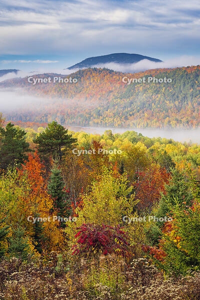 Fog at sunrise in autumn, Adirondack Mountains, New York, USA [AWL110001502]