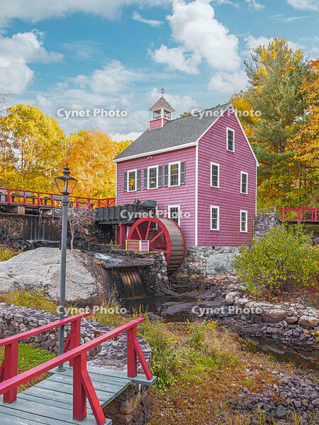 Millstream framed by fall Foliage,  Millstream, Chelmsford, Massachusetts, USA [AWL110001513]