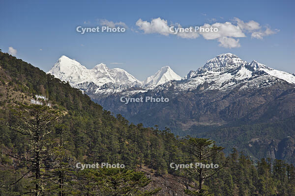 A superb view of snow-capped mountains from the Cheli La Pass, Bhutan’s highest motorable road.  [AWL110001570]