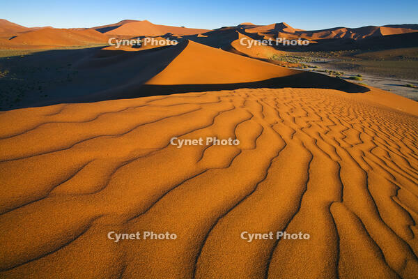 Sand dunes at Soussusvlei,  Namib-Naukluft National Park, Namibia, Africa [AWL110001694]