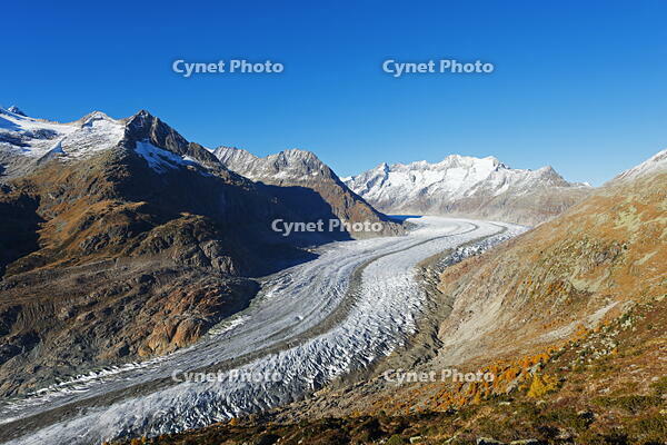 Europe, Switzerland, Valais, Swiss Alps,  Jungfrau-Aletsch Unesco World Heritage site; Aletsch glacier [AWL110001719]
