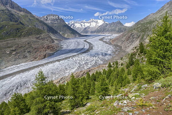 Switzerland, Canton of Valais, Aletsch glacier [AWL110001732]