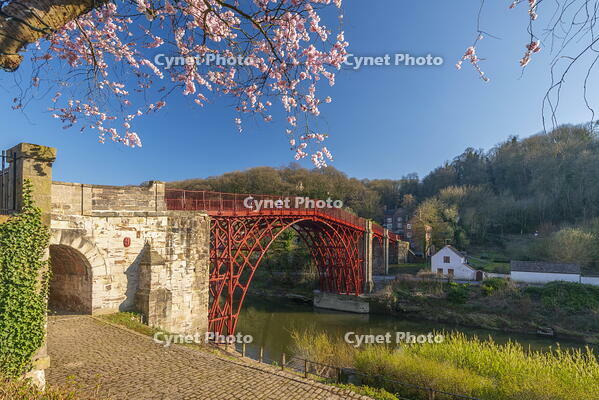 England, Shropshire, Telford, Ironbridge, Ironbridge Bridge, previously painted black, now in original red after 2018 restoration [AWL110001740]