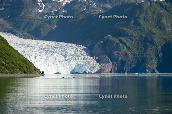 USA, Alaska, Kenai Fjords National Park, Aialik Bay.Aialik Glacier, kayakers going for a close look at the glacier [AWL110001744]
