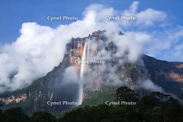 Venezuela, Guayana, Canaima National Park, Angel Falls [AWL110001757]