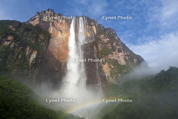 Venezuela, Guayana, Canaima National Park, View of Angel Falls from Mirador Laime [AWL110001758]