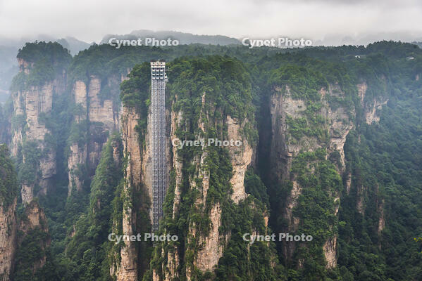  Hallelujah mountains or Avatar mountains ant the Bailong Elevator in the fog, Zhangjiajie National Forest Park, Hunan, China [AWL110001759]