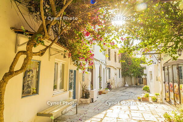 A small alley in Kos Town, Kos, Dodecanese Islands, Greece [AWL110001934]