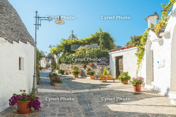 Alleys of Alberobello, province of Bari, Apulia, Italy [AWL110001949]