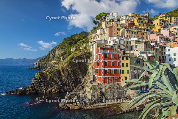 The colorful sea village of Riomaggiore, Cinque Terre, Liguria, Italy [AWL110001950]