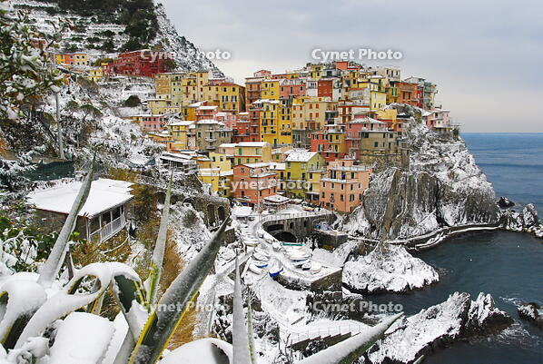 Italy, cinque Terre, Manarola. Snow in Manarola only every 25 years it happens to snow in the cinque terre. [AWL110001951]