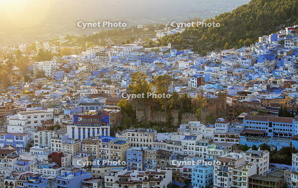 The blue town of Chefchaouen, Rif Mountain, Morocco [AWL110001958]