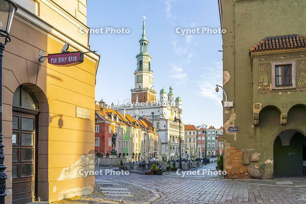 Old Market square and the Town Hall in the background, Poznan, Poland, Eastern Europe [AWL110001959]