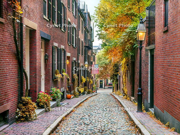 Acorn Street, Beacon Hill, Boston, Massachusetts, USA [AWL110001969]