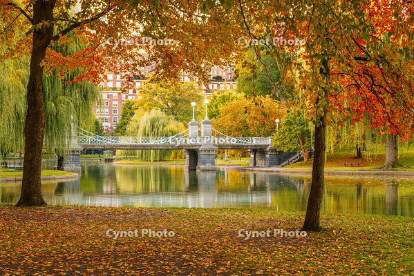 Boston Common and Public Garden Boston, Massachusetts, USA [AWL110001970]