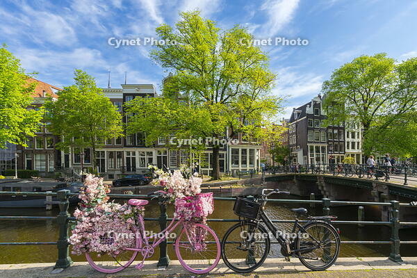 Decorated bicycles on Brouwersgracht canal, Amsterdam, Netherlands [AWL110002038]