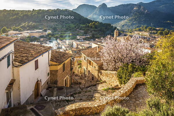 View over the old town of Bunyola to the Serra de Tramuntana mountains, Mallorca, Balearic Islands, Spain [AWL110002054]