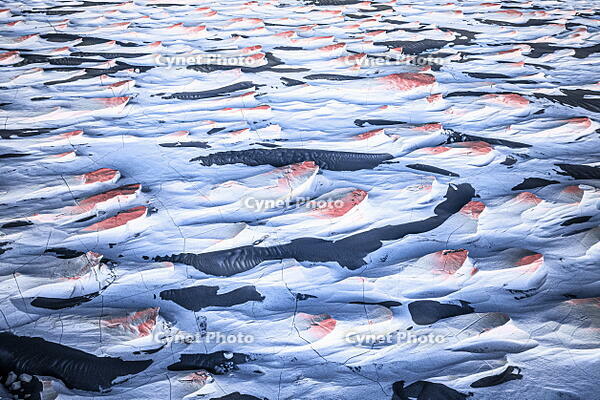 Surreal volcanic landscape at sunrise, Campo de Piedra Pomez, El Penon, Catamarca, La Puna, Argentina [AWL110002077]