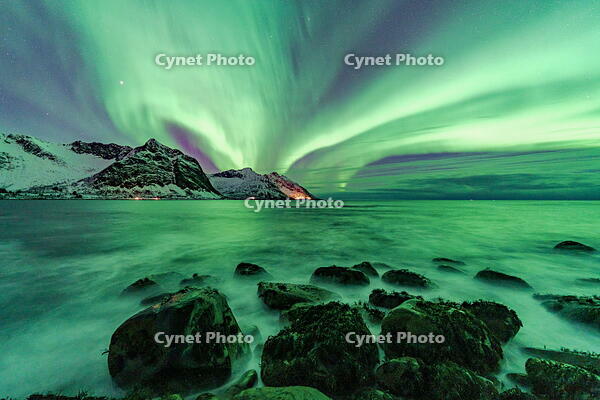 Northern Lights over snowcapped mountains and the rough sea, Tungeneset, Senja, Troms, Norway [AWL110002104]