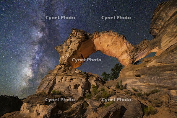 Milky Way over Inchworm Arch near Kanab, Utah, USA [AWL110002116]