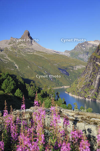 Switzerland, Graubunden, Vals, Zervreilasee Reservoir and Zervreilahorn Peak [AWL110002128]