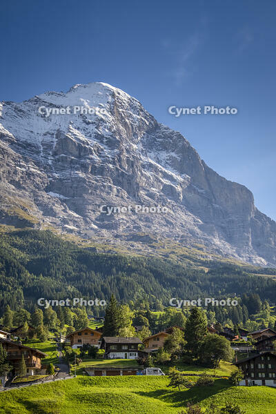 Eiger above Grindelwald, Berner Oberland, Switzerland [AWL110002129]