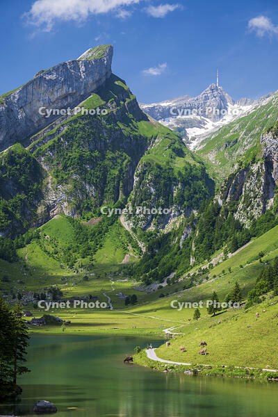 Lake Seealpsee, Alpstein, Schwende, Canton of Appenzell Innerrhoden, Switzerland [AWL110002148]