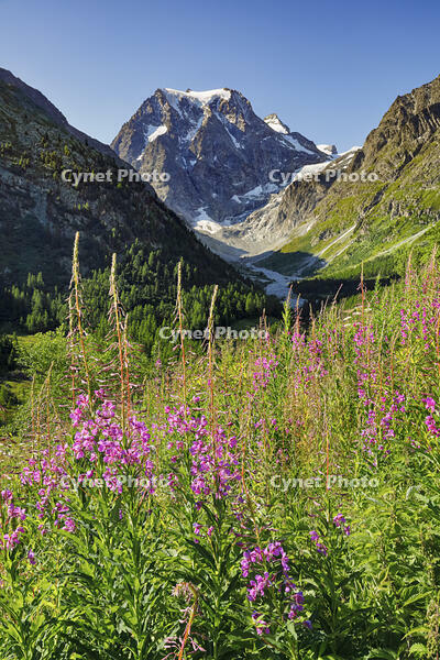 Mt. Collon in Arolla Valley, Val d'Herens, Valais, Switzerland [AWL110002151]
