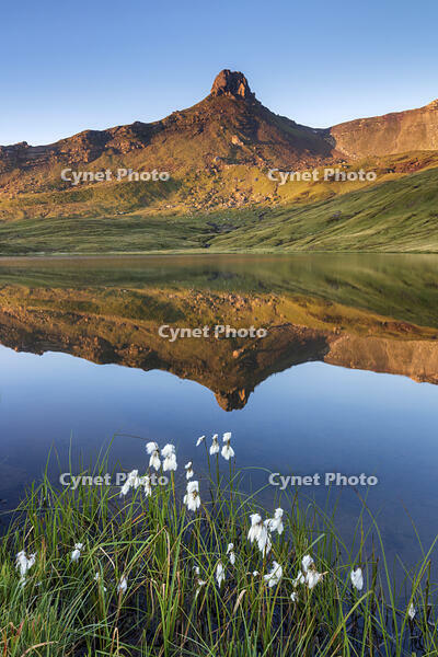 Switzerland, Canton St. Gallen, Sarganserland, Flumserberge, Spitzmeilen, UNESCO World Heritage Tectonic Arena Sardona [AWL110002160]
