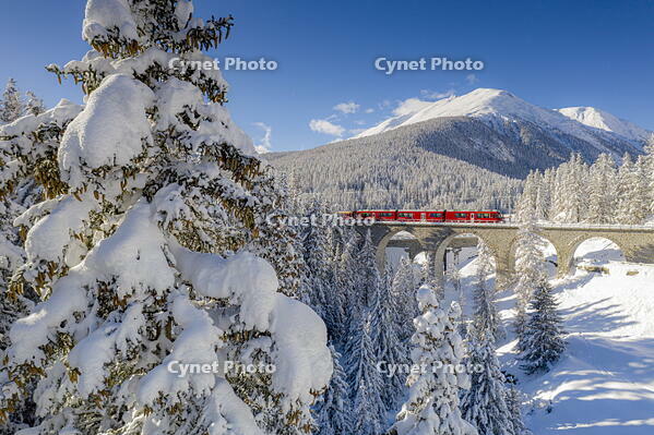 Trees covered with snow surrounding the red Bernina Express train in winter, Chapella, Graubunden canton, Engadine, Switzerland [AWL110002179]