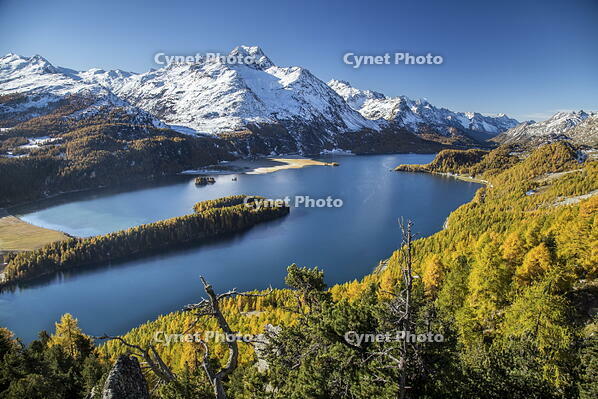 Lake Sils with its shores painted by autumn. In the background the Margna peak already capped with snow. Canton Graubuenden. Engadine. Switzerland. Europe [AWL110002181]