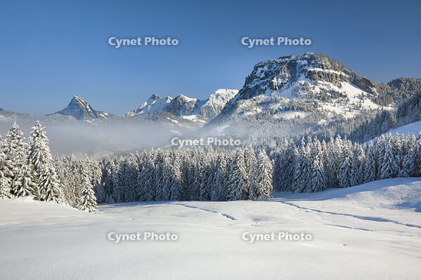 Sattelegg, Gross Aubrig, Chopfenberg, Canton Schwyz, Switzerland [AWL110002189]