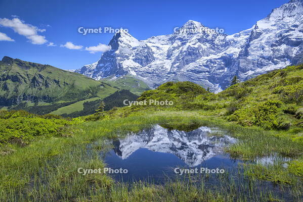 Switzerland, Bernese Oberland, Murren, Eiger and Monch [AWL110002196]