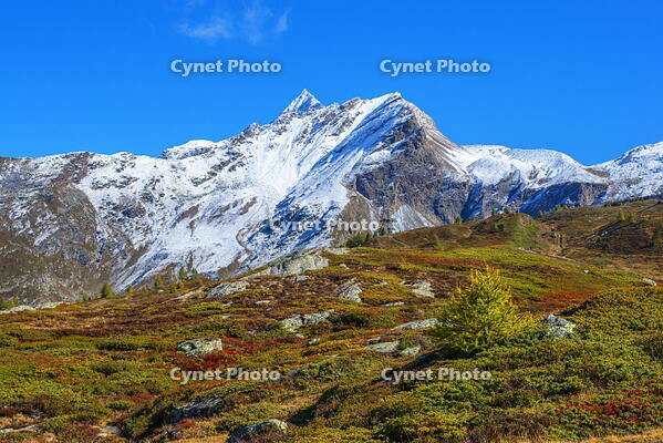 Wasenhorn, Simplon pass, Valais, Switzerland [AWL110002205]