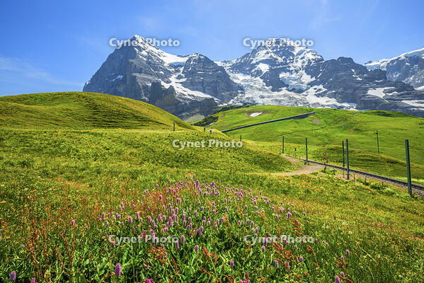Eiger and Monch seen from Kleine Scheidegg, Bernese Alps, Berner Oberland, Grindelwald, canton Berne, Switzerland [AWL110002218]