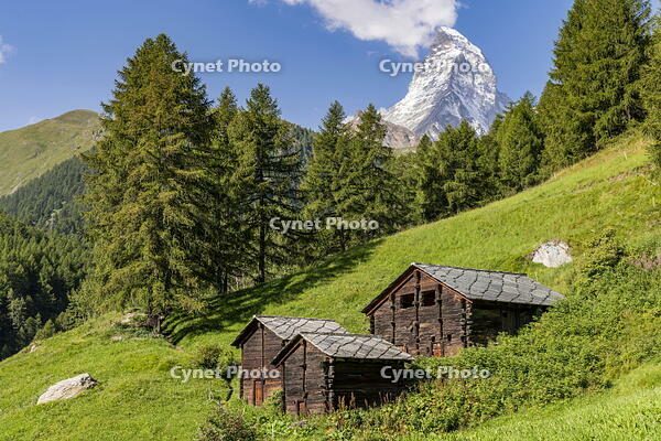Scenic summer view over Matterhorn, Zermatt, Valais, Switzerland [AWL110002220]