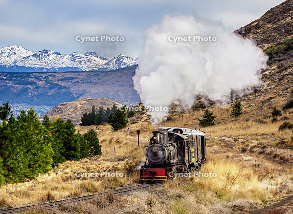 Old Patagonian Express La Trochita, steam train, Chubut Province, Patagonia, Argentina [AWL110002228]